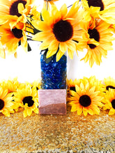 Load image into Gallery viewer, Mango 🥭 Treasure