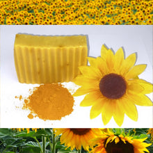 Load image into Gallery viewer, Turmeric Treasure